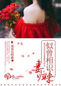 似曾相识出自哪首古诗