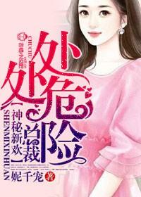 神秘的总裁恋人