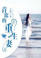 首席的夜妻全文免费阅读