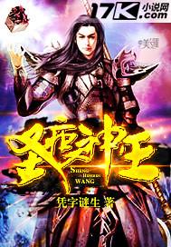 圣痕播放