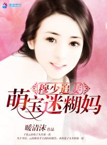 穆少追妻请排队免费