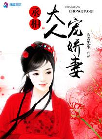 丞相大人宠娇妻 西青先生