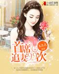 首席追爱