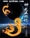枕中五行记