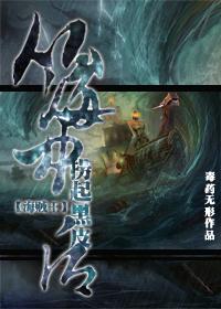 海贼王刺客法则 百度