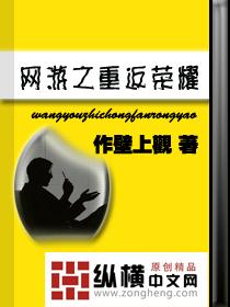 网游之重返巅峰 txt