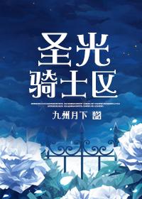 圣骑士圣光弹