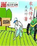 农夫传奇TXT免费全集