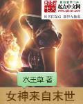 末世开局签到女神