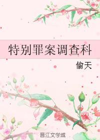 特别罪案调查科电视剧