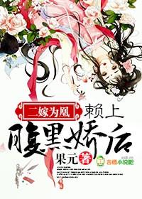 二嫁王妃全文免费阅读