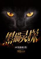 黑猫侦探在线观看