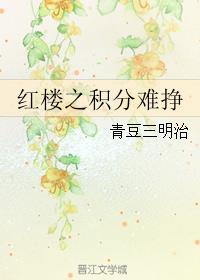 红楼之瑕疵 ...