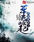 武道系统