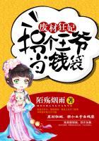 拐个王爷当钱袋