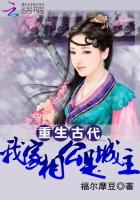 重生古代我家相公是城主 福尔摩豆