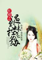 红楼之阡陌