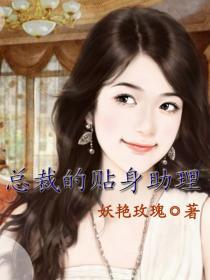 总裁的贴身助理乔安苏臣免费阅读