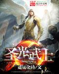 圣光武士爱爱迪生