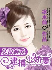 总裁追捕小逃妻全文免费