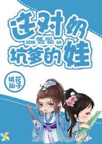 红楼之这对坑爹的娃txt