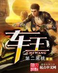 路边估车王