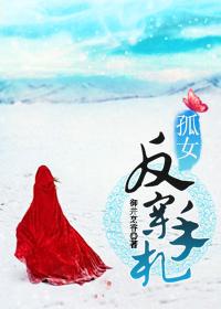 孤女反穿手札点评