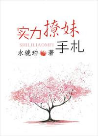 实力撩妹手札免费阅读