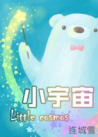小宇宙 李宇春