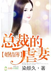 总裁的神秘情人
