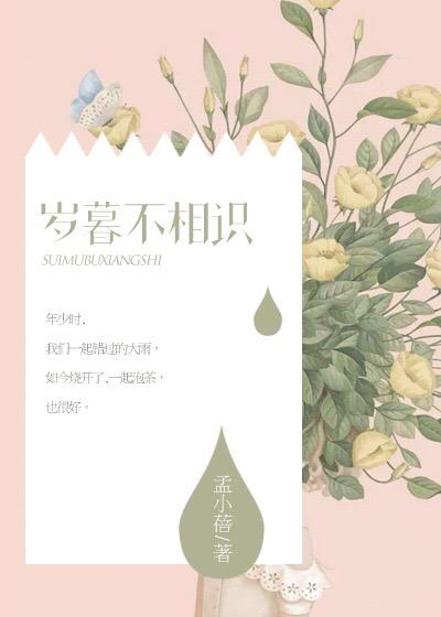 岁暮年初的意思