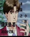 什么时候上线