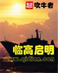 临高启明阅读