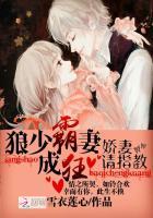 狼少宠妻如命免费阅读