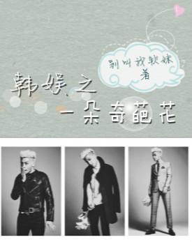 韩娱之另