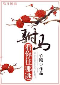 驸马看你往哪逃gl