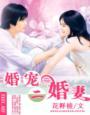 二婚老公宠妻无度