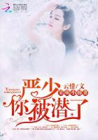 严少的嗜宠娇妻