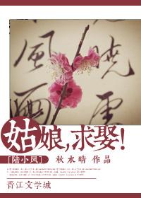 陆小凤之大金鹏王九姑娘