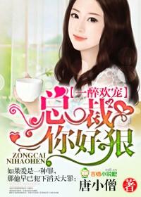 总裁你粗鲁