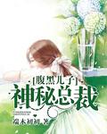 腹黑儿子神医娘在线观看