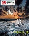 海藏一号红酒多少钱一瓶