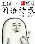 王道诗话