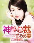婚不可测安小暖全文免费阅读