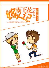 霸王花主要演员人