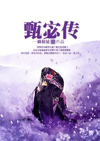 甄宓传记