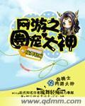网游之神宠猎人顶点