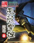 无限掌控张平