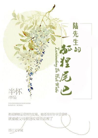 陆先生的