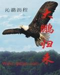 大鹏起飞的典故